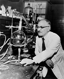 Dr. Selman Waksman, half-length portrait, facing left at work in the laboratory  / World Telegram & Sun photo by Roger Higgins.