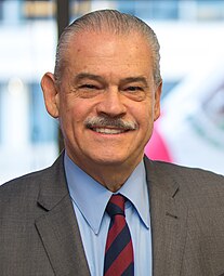 Portrait of Miguel Basáñez with the Mexican flag behind.