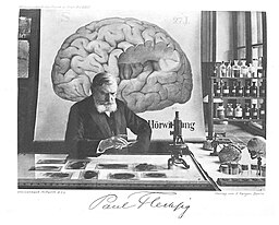 Paul Flechsig