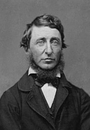 Portrait photograph from a ninth-plate daguerreotype of Henry David Thoreau. Calvin R. Greene was a Thoreau “disciple” who lived in Rochester, Michigan, and who first began corresponding with Thoreau in January 1856.  When Greene asked for a photographic image of the author, Thoreau initially replied: “You may rely on it that you have the best of me in my books, and that I am not worth seeing personally – the stuttering, blundering, clodhopper that I am.” Yet Greene repeated his request and sent money for the sitting.  Thoreau must have kept this commitment to his fan in the back of his mind for the next several months.  On June 18, 1856, during a trip to Worcester, Massachusetts, Henry Thoreau visited the Daguerrean Palace of Benjamin D. Maxham at 16 Harrington Corner and had three daguerreotypes taken for fifty cents each.  He gave two of the prints to his Worcester friends and hosts, H.G.O. Blake and Theophilius Brown.  The third he sent to Calvin Greene in Michigan.  “While in Worcester this week I obtained the accompanying daguerreotype – which my friends think is pretty good – though better looking than I,” Thoreau wrote.