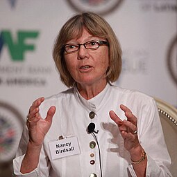 President Nancy Birdsall of the Center for Global Development opens up a discussion on social protests and movements at the XVII CAF Conference.