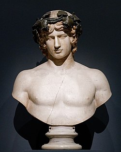 Marble bust of Antinous from the Villa Adriana in Tivoli. 